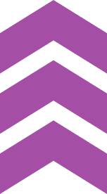 Ornament 67